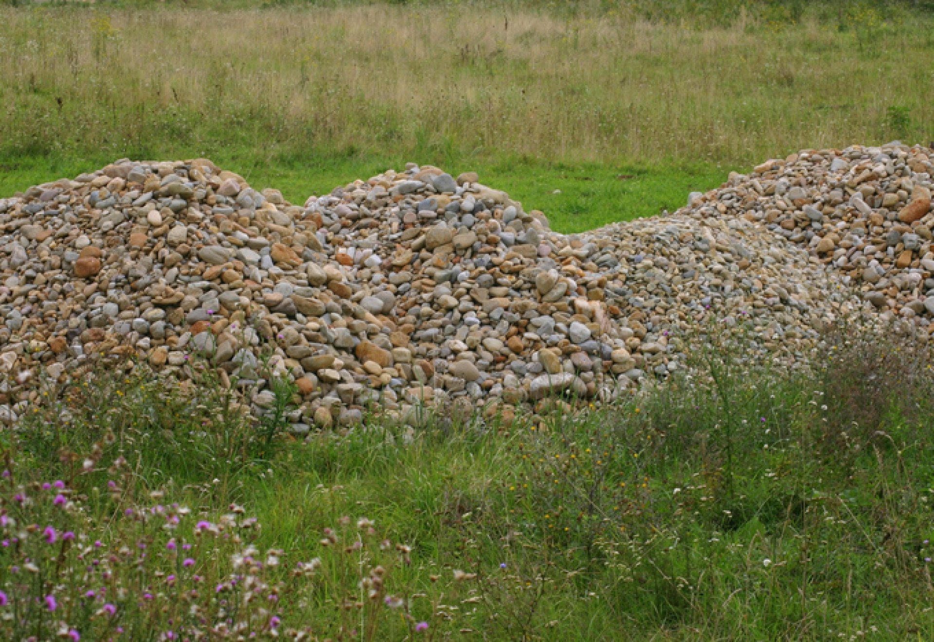 Sóder akció kiszállítással